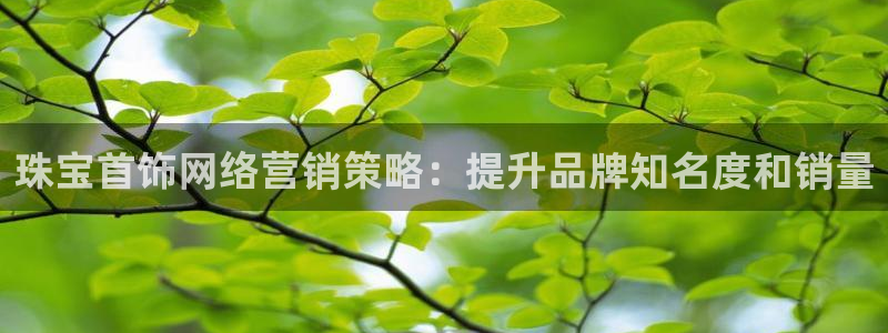 必赢客官方