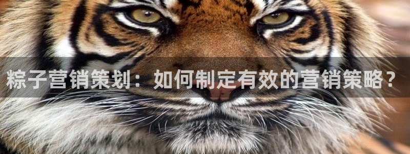 必赢官网入口下载安装
