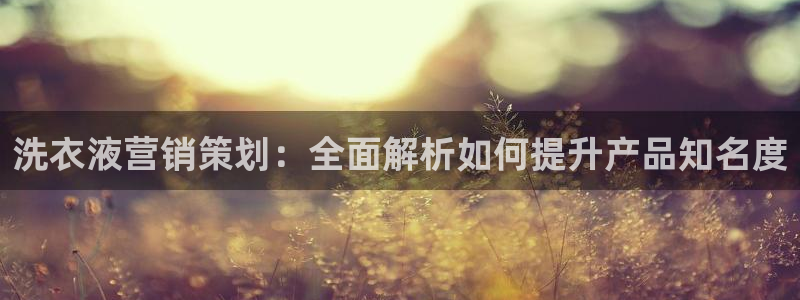 必赢平台官方网址