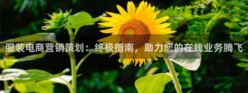 必赢集团怎么样