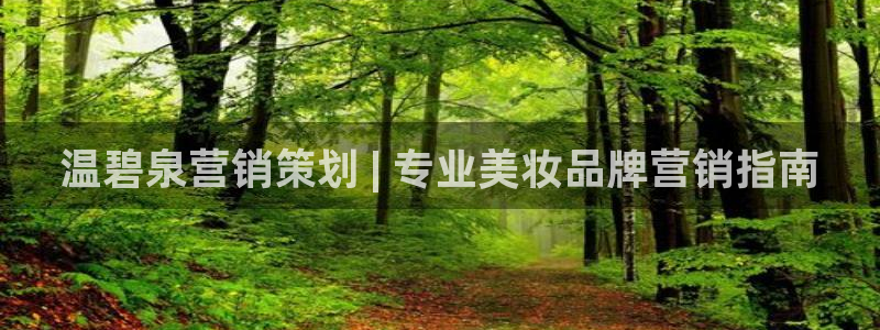 必赢手机app下载安装