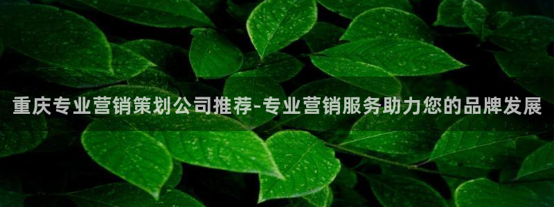 必赢官网入口下载安装手机版