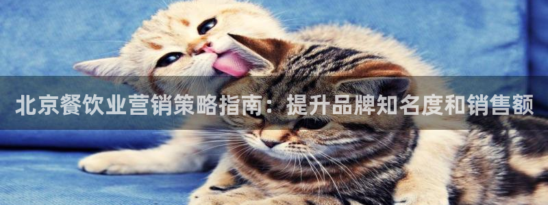 必赢官网网站首页下载