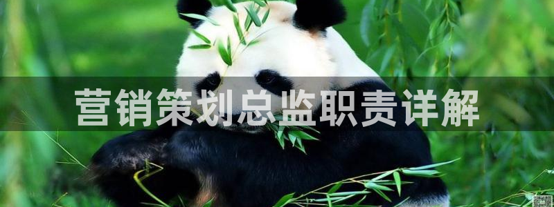 必赢网址谁知道是真的
