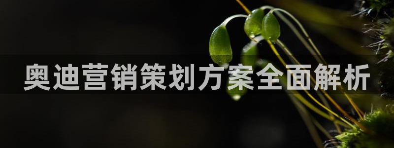 必赢手机app下载 最新版安装