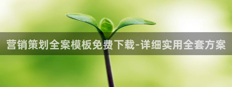 必赢app是干什么的