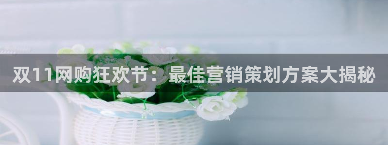 必赢官网网站