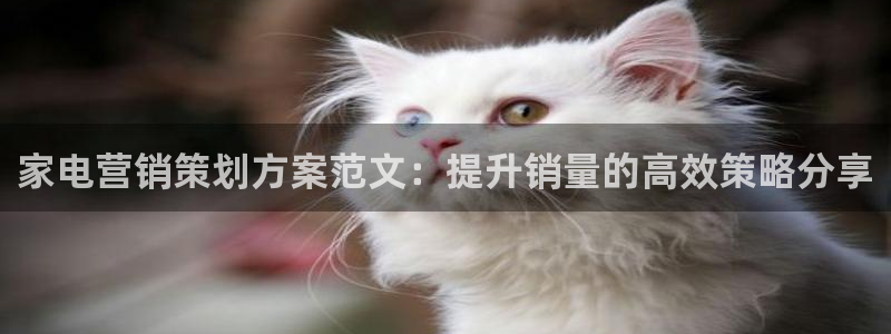 必赢平台网