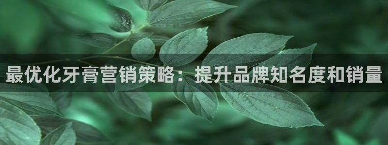 必赢国际app最新官网