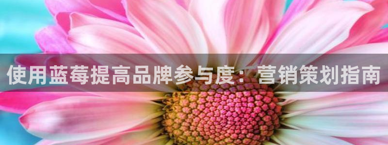 必赢网址
