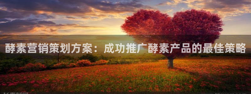 必赢国际app最新官网