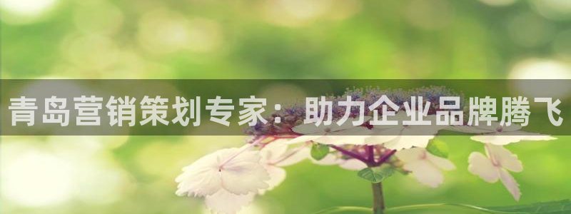 必赢棋盘官网版