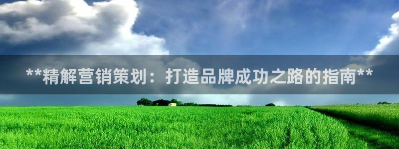 必赢棋盘官网版