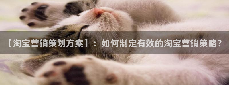 必赢亚赢网站官网下载手机版安卓