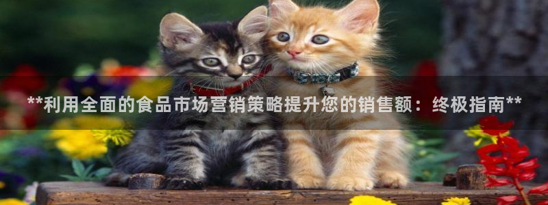 必赢官网下载安装app：**利